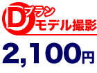 Dץǥ뻣2,100